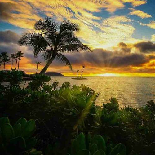 حمیدرضا بیات تنهایی هامو  قاب می گیرم با یاد تو